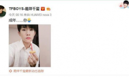 娱乐圈吃瓜大鹅微博,揭秘明星幕后故事，带你领略娱乐圈真实一面