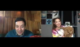 论理视频,揭示逻辑思维的艺术与技巧